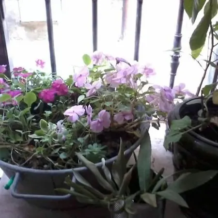 Apartment Appart' Cosy Beaucairois *