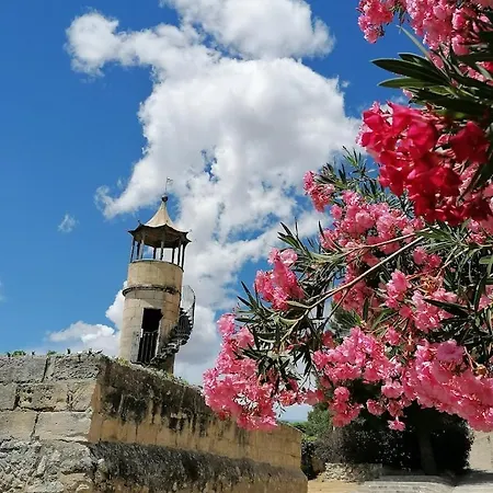 Appart' Cosy Beaucairois Διαμέρισμα Beaucaire (Gard)